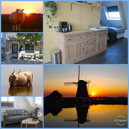 Zonnedael Frühstückspension