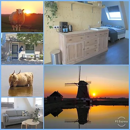 Guest house Zonnedael